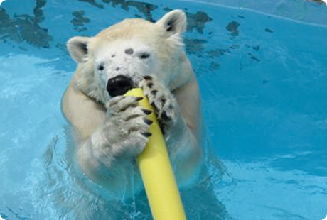 浜松市動物園(はまZOO)