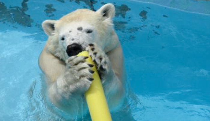 浜松市動物園(はまZOO)