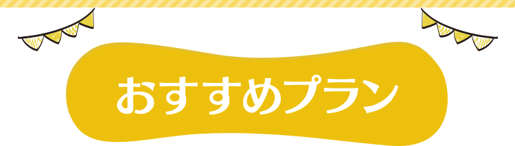 おすすめプラン