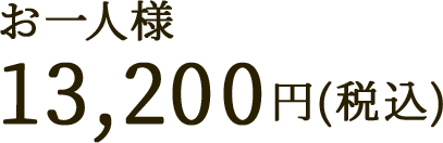 お一人様 13,200円(税込)