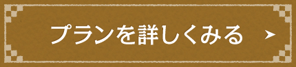 プランを詳しくみる