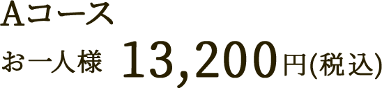 Aコース お一人様 13,200円(税込)