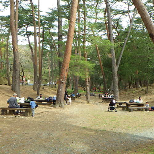 浜北森林公園