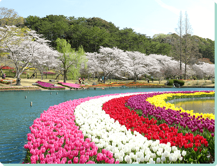 春夏秋冬の花を見に行こう！ はままつフラワーパーク