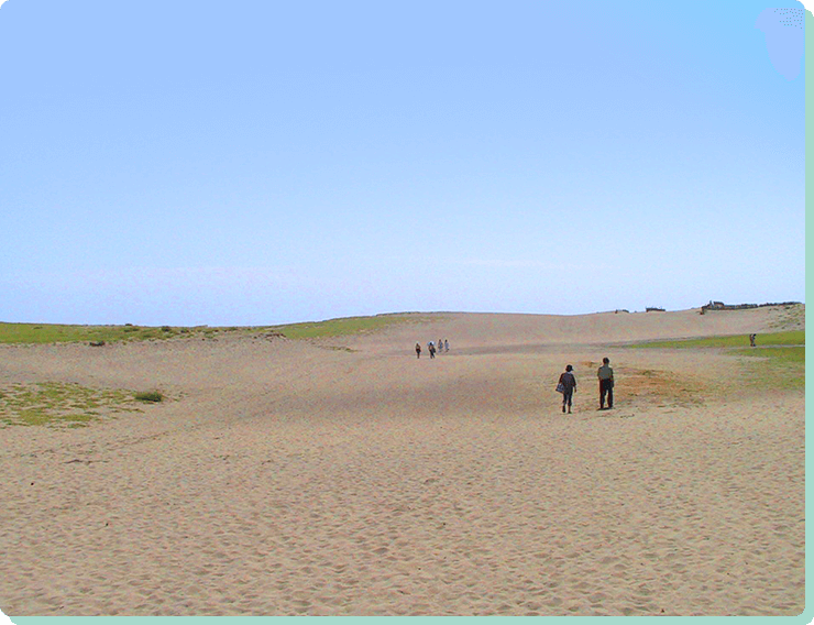 砂丘と太平洋の絶景に感動！ 中田島砂丘