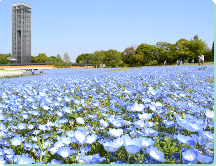 無料で楽しめる都市公園 浜名湖ガーデンパーク